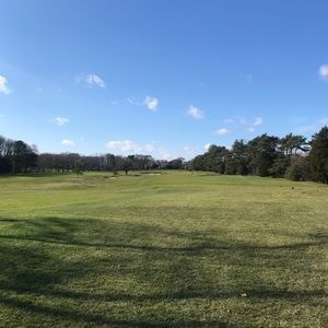 Meet your Posher, Liam